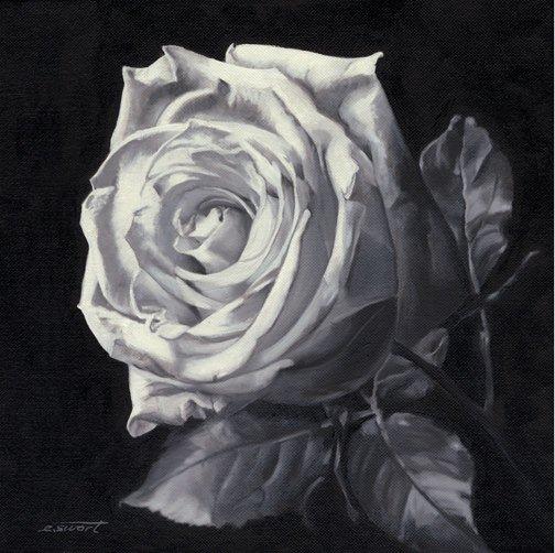 ROSE-BLACK-APRIL-2012-invitation-size