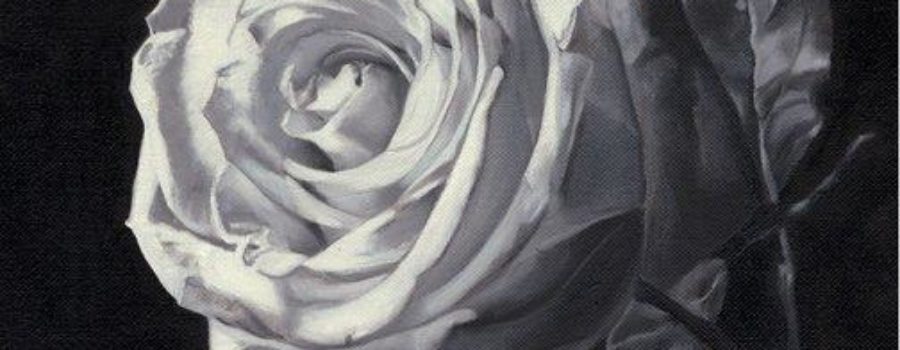 The Wedding Invitation